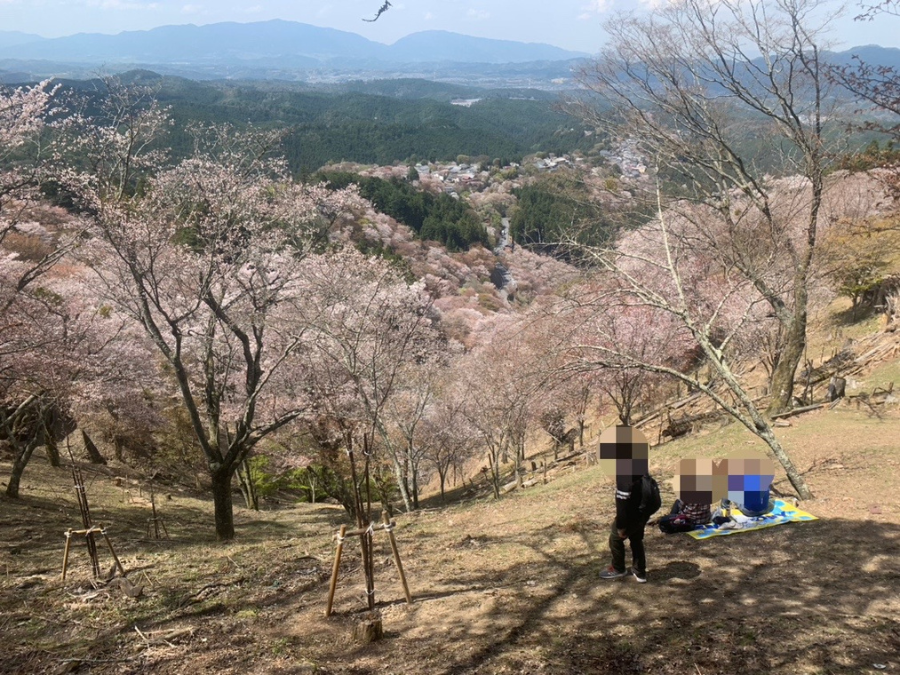 吉野山