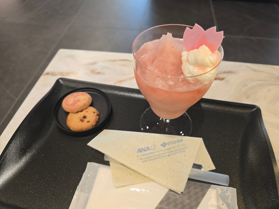 ANA SUITE LOUNGE