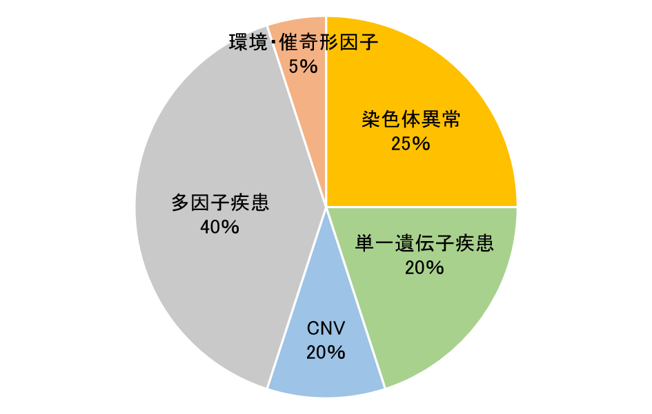 染色体異常の割合