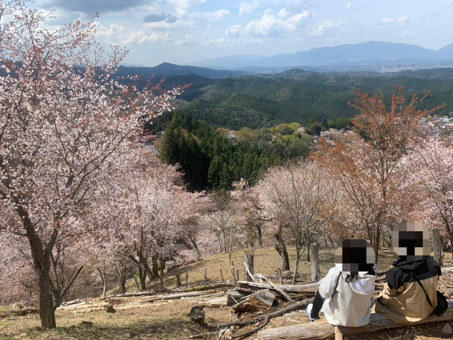 吉野山