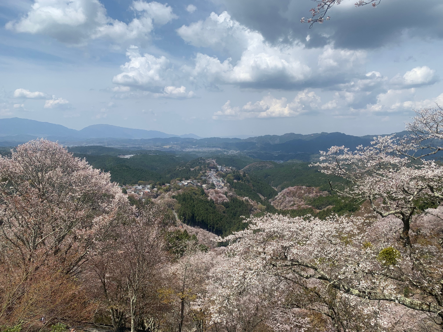 吉野山