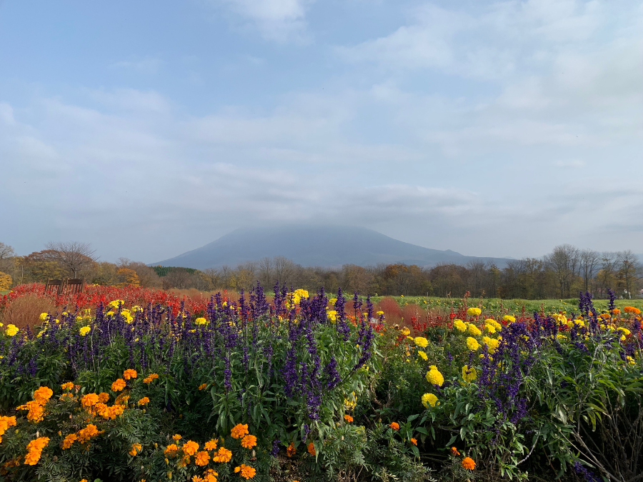 ニセコ高橋牧場