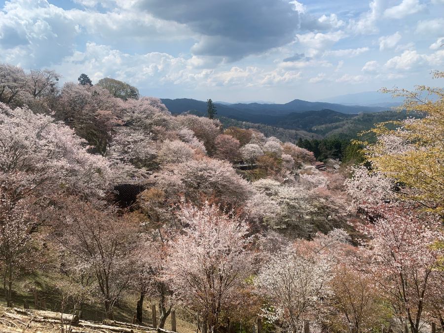 吉野山